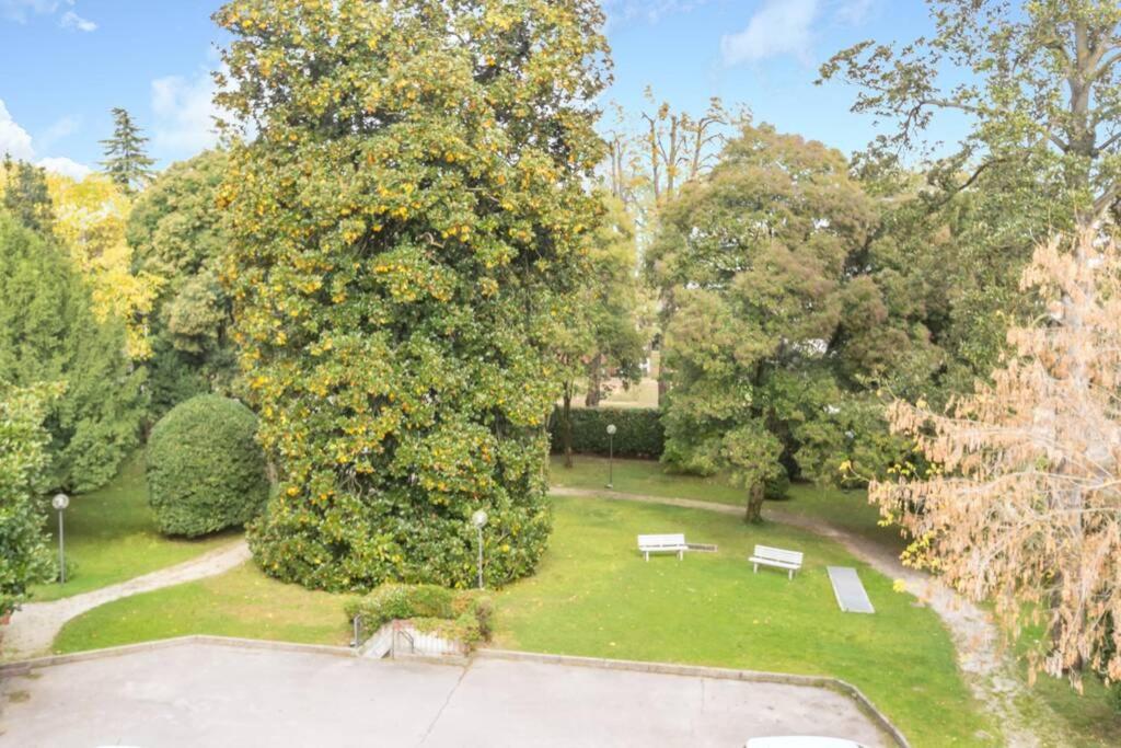 Dadahome Elegante Appartamento Vicino Al Centro Treviso Eksteriør bilde
